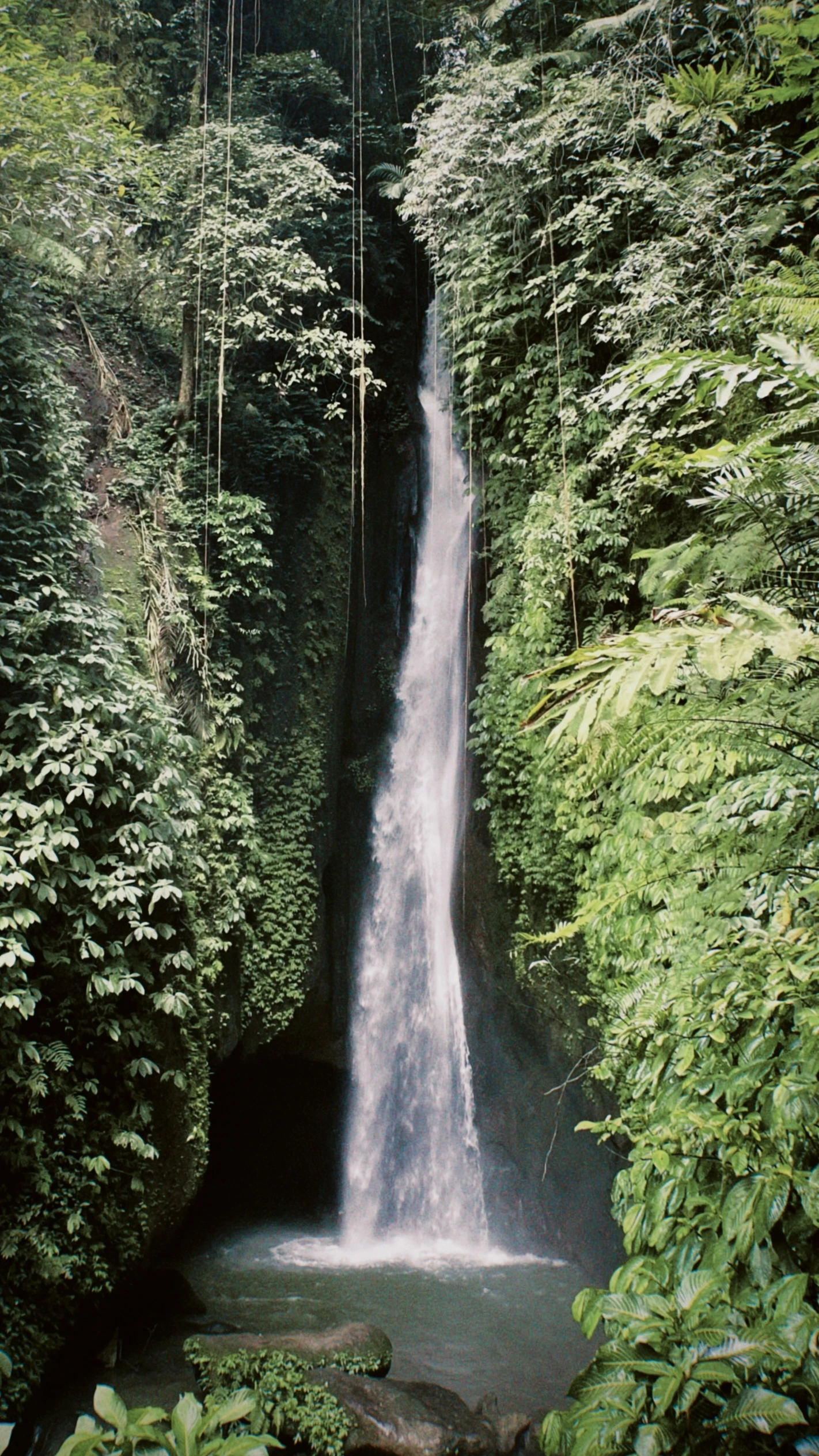 bali-carrousel2